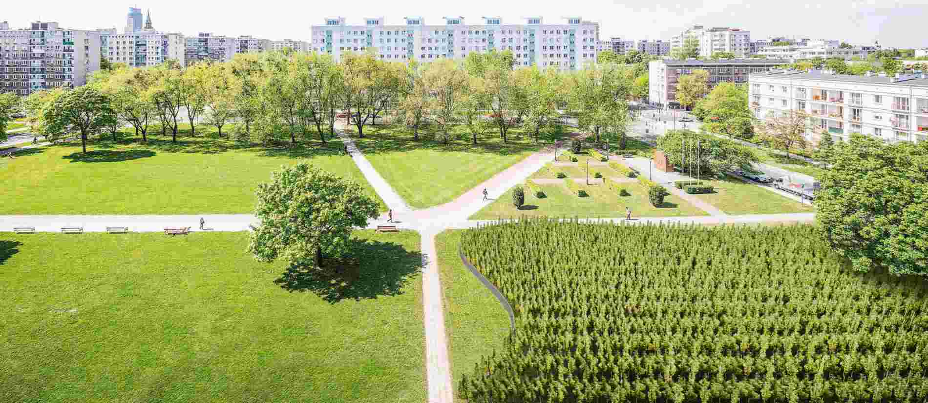 Forest nursery, view from Polin museum